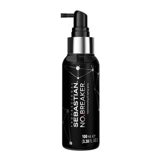 세바스찬 프로페셔널 노브레이커 스타일링 스프레이 100ml, 세바스찬 프로페셔널 노브레이커 스타일링 스프레이 100, 1개