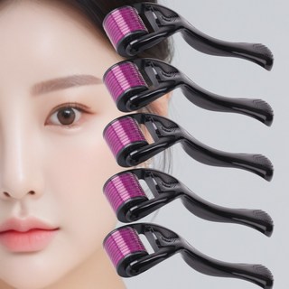 에인센스 더마 MTS 롤러 0.25mm 미세침 마이크로니들 5개 상품 이미지