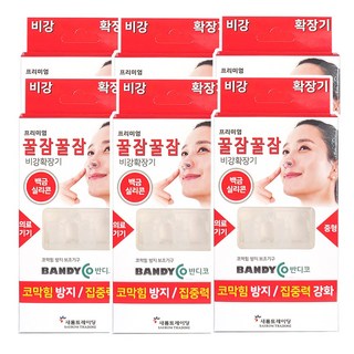 반디코 꿀잠꿀잠 비강확장기, 6개