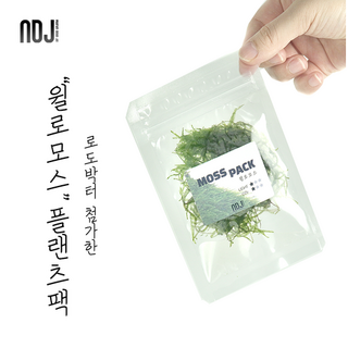 [ADJ] 로도박터 첨가! 약한 빛으로 키울 수 있는 윌로모스 플랜츠팩, 1개 대표 이미지 - 모스탄 대사 추천