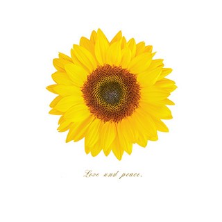풍수아트 돈들어오는 풍수 해바라기 그림액자 19종, 1.SUN-라운드