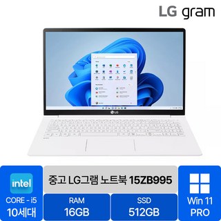 LG 2020 그램 15인치