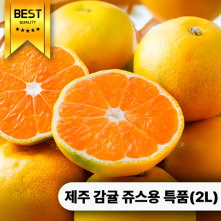 [가성비특가] 쥬스용 꿀과즙 노지하우스 귤, 1개, 정품대과(2L) 10kg