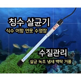 어항살균기 사용 모습