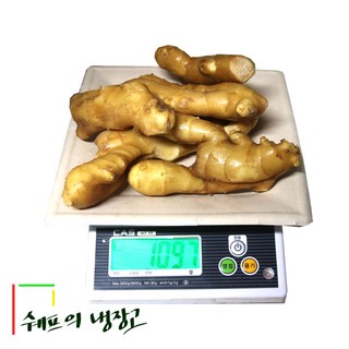 1kg 세척생강 중국산생강 수입생강 대강 식당 업소용 급식 도매, 1개