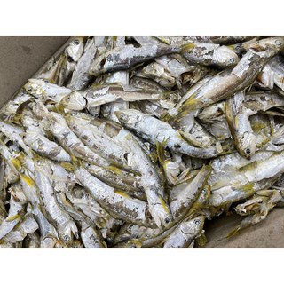 국내산 남해안 햇 통영 고노리 멸치(중품 다시용 육수용 업소용), 1개, 1.5kg
