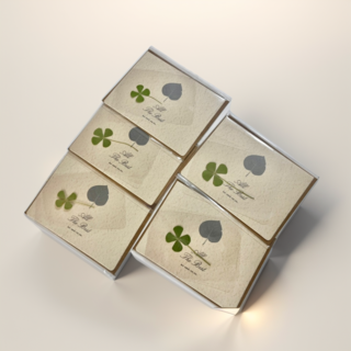 Ground 행운의 네잎클로버 코팅 생화 카드 선물 5세트 상품 이미지