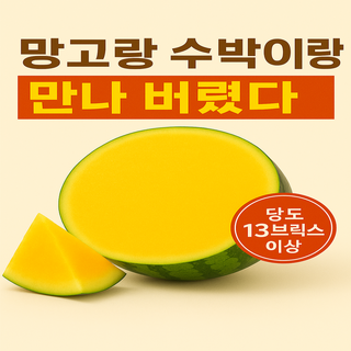 [온곳간] 산지 직송 한정 판매 망고 수박 (~7월말 예정), 1박스, 5kg이상 (1-2통)