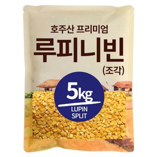 호주산 루피니빈 콩 루핀콩, 5kg, 1개