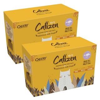 캣티즌 무스 고양이 간식 90g x12개 파우치, 대구, 2세트