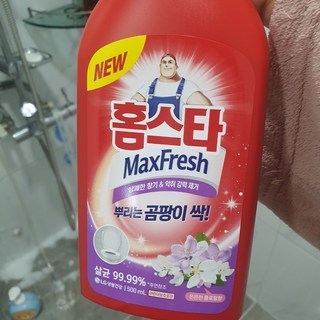 홈스타 맥스프레쉬 뿌리는 곰팡이 싹 세정제, 700ml, 1개