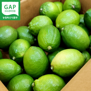 지구해 GAP인증 제주레몬 제주청레몬 국산제주레몬, 1개, 제주레몬1.5kg
