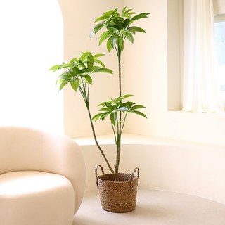 인테리어 거실 조화화분 개업식 인조나무 머니트리 파키라 160cm 혼합색상 1개 상품 이미지