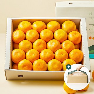 제주 하우스감귤 프리미엄 선물세트 3kg, 1박스, 하우스귤 선물세트 3kg 로얄과