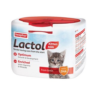 비아파 락톨 키튼 영양제, 250g, 1개