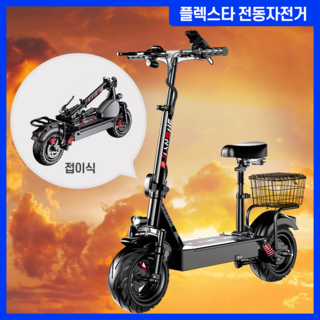 플렉스타 전동킥보드