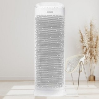 삼성전자 블루스카이 공기청정기 AX50N5080WDD