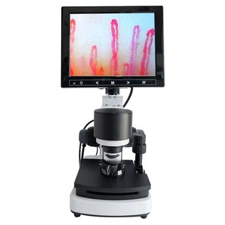 모세혈관 현미경 휴대용 피부 관찰 분석 모니터 감지, 600배 XW880(HD 8인치 화면)