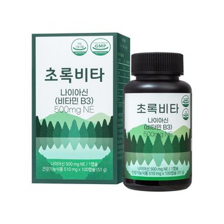 초록비타 고용량 비타민B3 (나이아신 니코틴산아미드 니코틴아미드 NAM), 1개, 100정