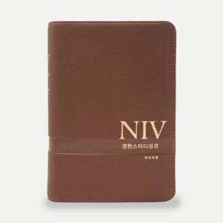 NIV 영한스터디성경