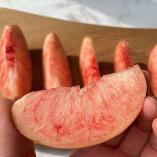 명인농가 프리미엄 고당도 딱딱이 복숭아 딱복, 1개, 500g