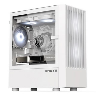 3RSYS L300 화이트 미니타워 케이스 – 선택하세요 (1개) 데이븐u300