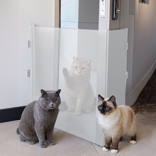 노블민트 슬라이딩 안전문 강아지 반려동물 고양이 메쉬 펜스 울타리, 1개, 화이트