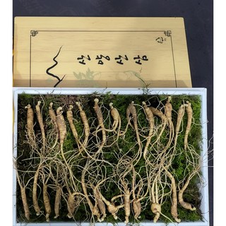 [수로] 국내산 산양산삼 5-6년 파지삼, 5-6년 파지삼 50뿌리 +5뿌리, 1개