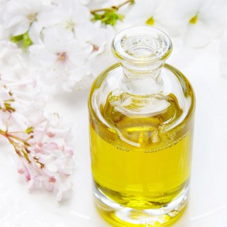 프래그런스 오일 목욕하는 여인 100ml, 목욕하는 여인  100ml, 1개