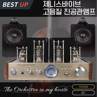 제니스바이브 무손실 진공관앰프 하이파이 블루투스 5.0 고출력 스피커 무선 리모컨 풀세트, D 제바 프리미엄 골드