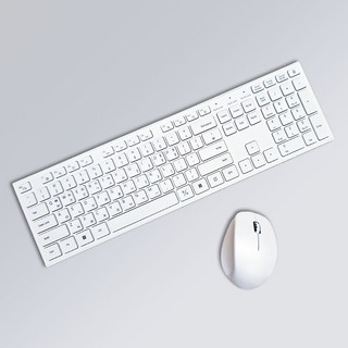 삼성 무선 키보드 & 마우스 세트 벌크 AA-KR1D5TW (화이트)