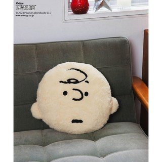찰리브라운쿠션 스누피캐릭터방석, 기타 2