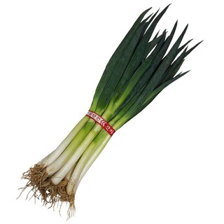 그린팜 생 대파 약 1kg 1단, 1개