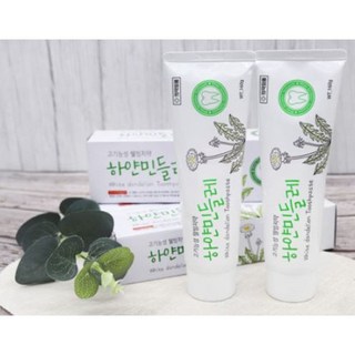 *새상품*기능성 웰빙치약 잇몸에좋은 하얀민들레치약 150g, 10개