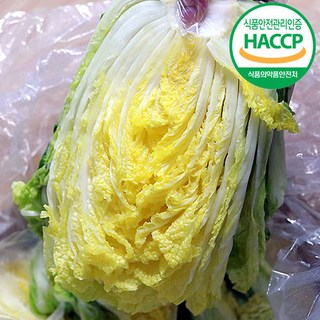 괴산 절임배추 고랭지 맛있는 절인배추, 1개, 20kg