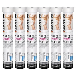 3. 에버핏 다이어트..