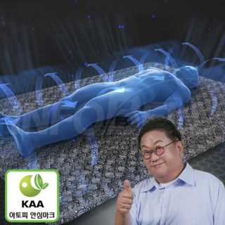 [TV홈쇼핑정품 인포벨] 명품 한솔 그래핀 어싱매트 무전원 접지 전자파차단 쿨링패드 이용식 추천 건강매트, 초대형