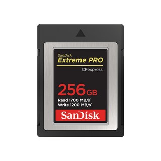 샌디스크 Extreme Pro CFexpress 카드