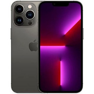 애플 아이폰 13 Pro MAX