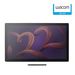 와콤 신티크 프로 22 액정 타블렛 DTH227