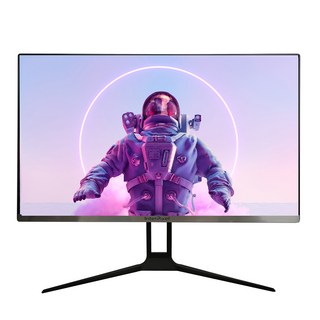 인터픽셀 IP2740 무결점