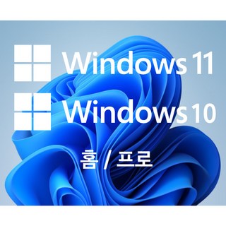 쿠팡베스트 MS윈도우10 MS윈도우11정품키 [이메일1분배송] 홈 프로 HOME PRO, 윈도우11홈, 윈도우11홈
