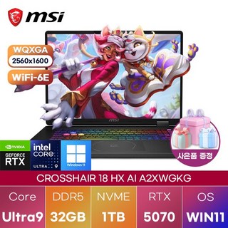 2. MSI 크로스헤..