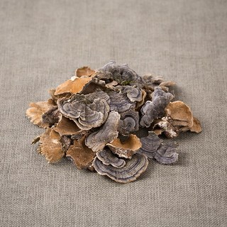 상세설명참고 국산 운지버섯(구름버섯) 100g 건 건조 말린 운지 효능, 1개