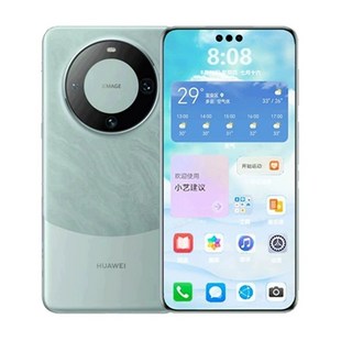 화웨이 메이트 60 Pro 5G