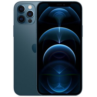 아이폰 12 Pro Max 할인