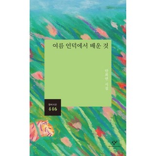 [창비] 여름 언덕에서 배운 것