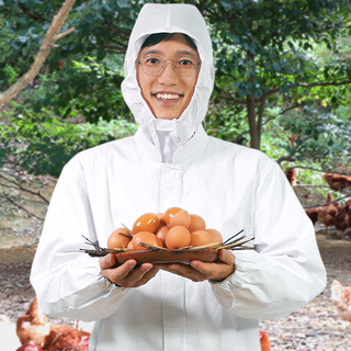 자연방사 구운란 훈제란 동물복지 1번계란 구운란 20구, 1개, 1600g, 40구