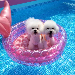 강아지용 물놀이튜브 핑크인어튜브 대형견 소형견 물놀이용품, 1개