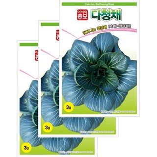 아시아종묘 씨앗 청경채 다청채 3g 3ea, 3개